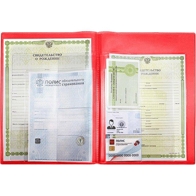 Папка-органайзер A4 с карманами для документов ОМС СНИЛС свидетельств deVENTE обложка 500мкм красная
