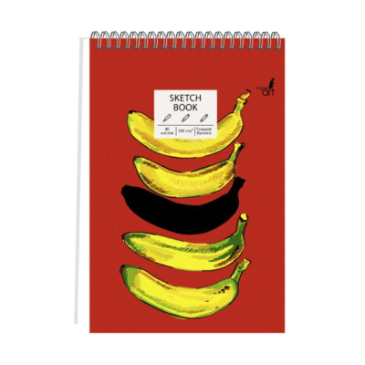 Блокнот для набросков Paper Art Sketch Book 14х21см 100г  40л на гребне твердая матовая обложка 'Banana brain'