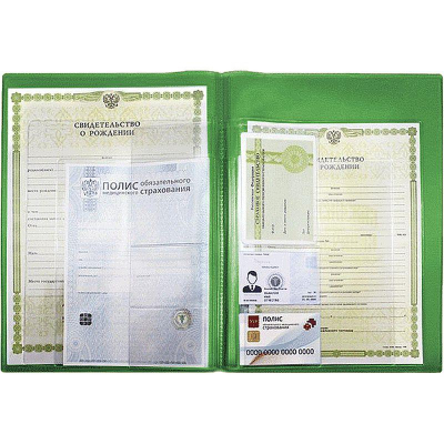 Папка-органайзер A4 с карманами для документов ОМС СНИЛС свидетельств deVENTE обложка 350мкм зеленая