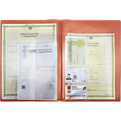 Папка-органайзер A4 с карманами для документов ОМС СНИЛС свидетельств deVENTE обложка 350мкм красная