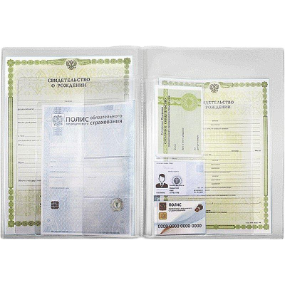 Папка-органайзер A4 с карманами для документов ОМС СНИЛС свидетельств deVENTE обложка 350мкм прозрачная