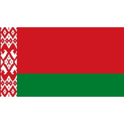 Флажок государства Беларусь 20х10см