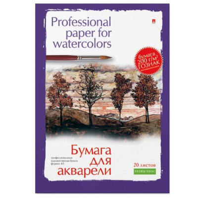 Бумага для акварели A3 297х420мм Альт® 200г 20л в папке 2 дизайна