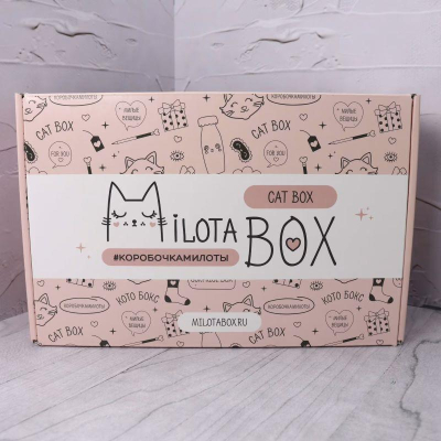 Подарочный набор-сюрприз MilotaBox 'Cat Box'
