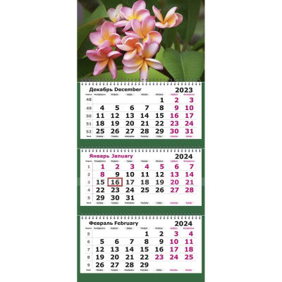 Календарь настенный 2024 квартальный 3-блочный 30х67см 'Балийский цветок' на гребне