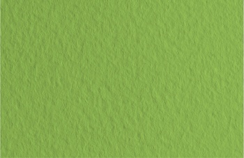 Бумага для пастели Fabriano Tiziano A4  160г зеленый мох 40% хлопок среднее зерно