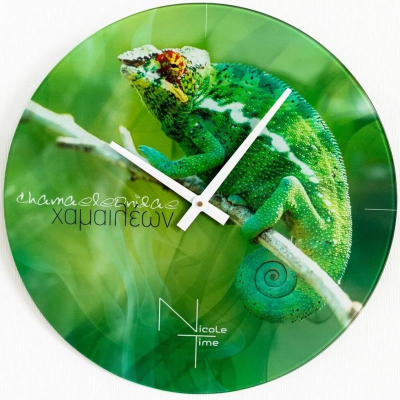 Часы настенные Салют Дизайнерские NicoleTime стекло d-50см 'Nature' белые стрелки